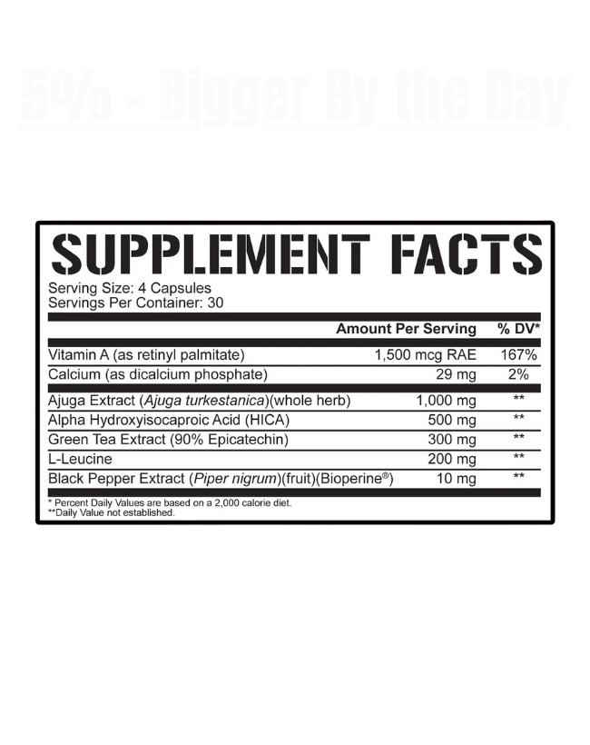 5% Nutrition - Bigger By the Day - Exalted Nutrition