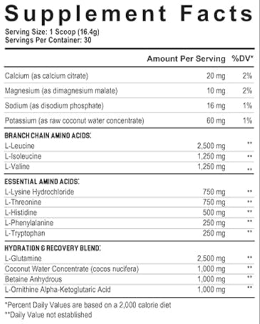 Axe and Sledge The Grind Amino Acids Exalted Nutrition