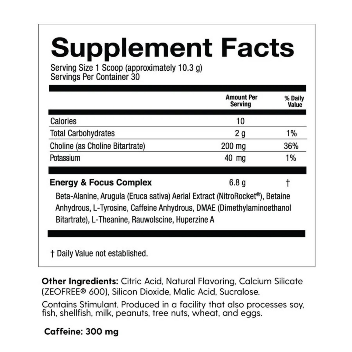 Flyte - FUEL Pre Workout Exalted Nutrition