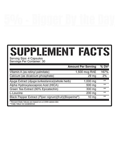 5% Nutrition - Bigger By the Day - Exalted Nutrition