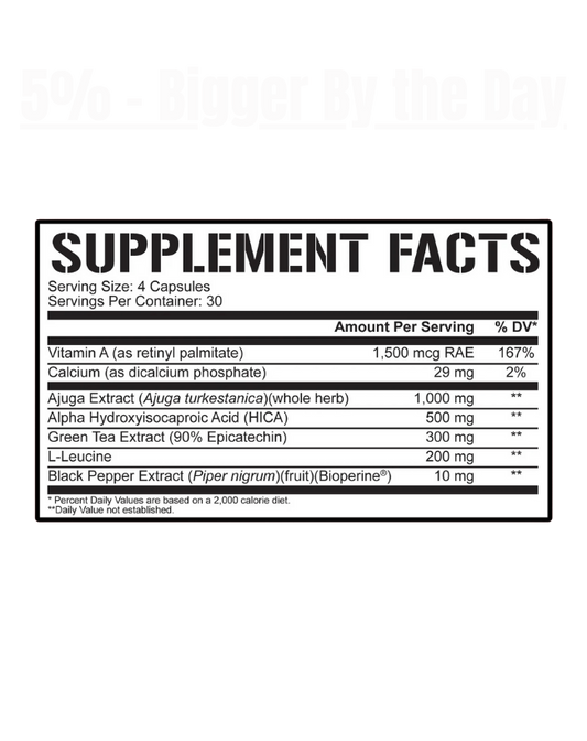 5% Nutrition - Bigger By the Day - Exalted Nutrition
