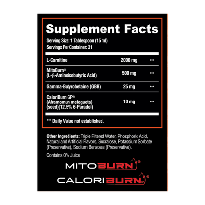 Buy Burn2o | Exalted Nutrition