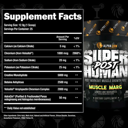 Alpha Lion Super Human Post (SALE)